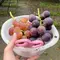 ぶどう狩りをしたい！🍇