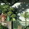 【愛媛】今治市の観光おすすめスポット集✨