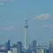 東京二大鉄塔を眺める！江戸まち散策とお台場エリア♪