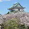 関西　おはな