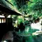 秋の味覚、箱根湯本温泉といっしょに楽しむ！