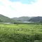 奄美大島の真ん中で自然に浸かる。リピーターの方必見！山に囲まれた住用町でのんびり過ごそう。