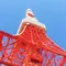 東京タワーがシンボルの港区へおでかけしよう🗼🍴🐬