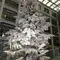 東京の大きなクリスマスツリーを見に行く
