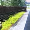 【青山・表参道・原宿】…SNS独占！「ブラックかき氷！？」×「和カフェ」＝進化系「和食」はコレ✍️