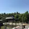石ちゃんのぶらり旅-高知城の絶景-