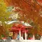 紅葉🍁香取神宮⛩と成田山新勝寺と食べ歩き🍡🍘