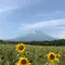 初めてのお気楽ソロテント泊の旅🏕『山梨〜長野、富士山〜八ヶ岳を望むゆるキャン旅』