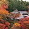【2022年9月18日放送分】フジテレビ「なりゆき街道旅」で紹介されたお店【茨城県久慈郡大子町】