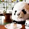《台湾•台北編》可愛いパンダに癒されよう🐼CAと巡る台北１泊２日旅！