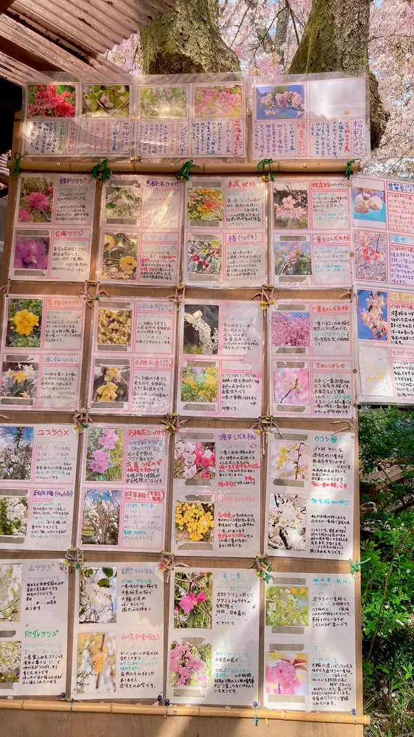 手作りの花の掲示板に愛を感じる❤️