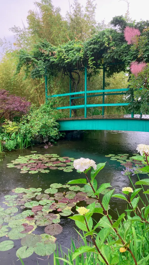 水の庭🪷