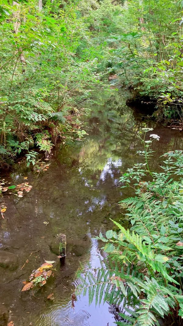 豊富な湧水