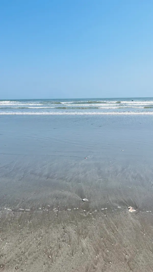 綺麗な砂浜。