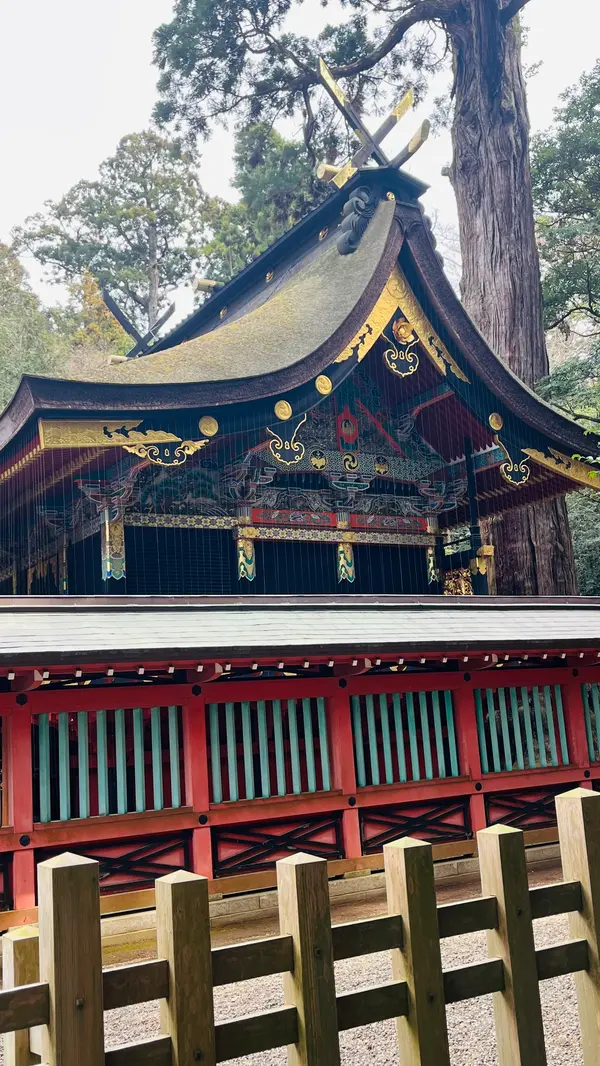 格好いい本殿。