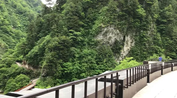 展望台