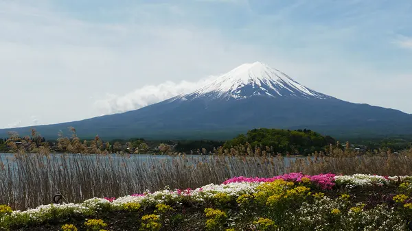 富士山ビューと様々な花