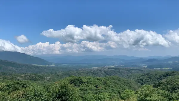 展望台からの景色