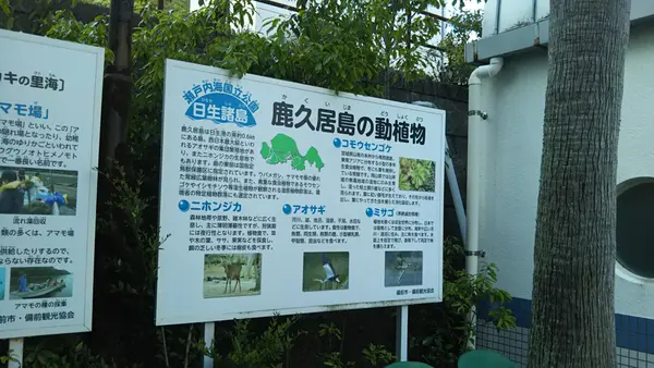 鹿久居島の動植物