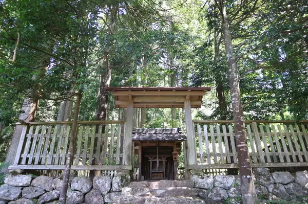 鎌倉神社と木漏れ日