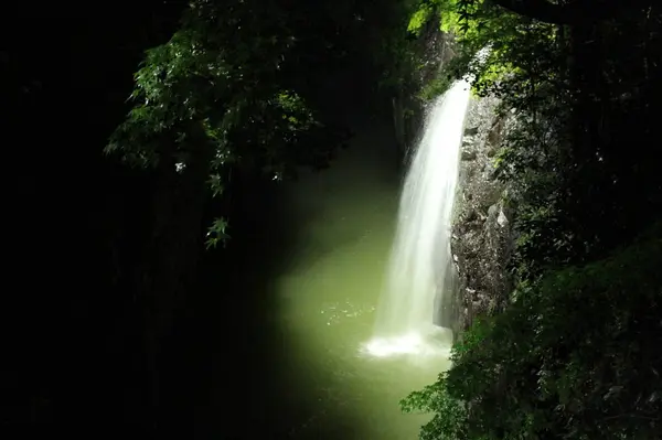 真名井の滝のライトアップ