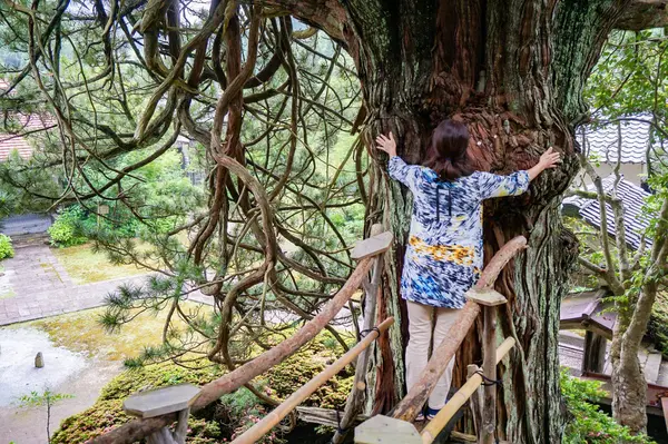 高野杉と地蔵尊のダブルパワースポット