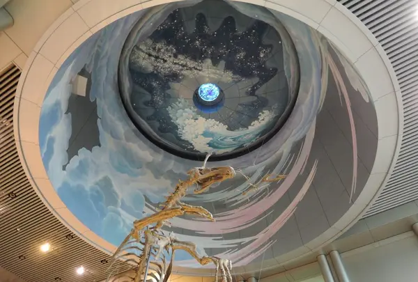 神奈川県立生命の星・地球博物館の写真・動画_image_100017