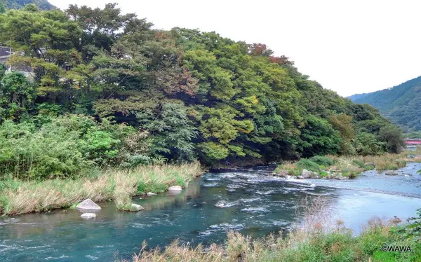 本間寄木美術館の写真・動画_image_100029