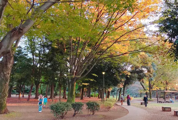 和田堀公園の写真・動画_image_100117