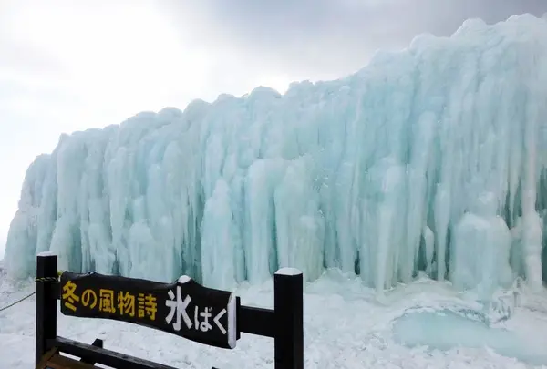 御在所岳樹氷の写真・動画_image_100164