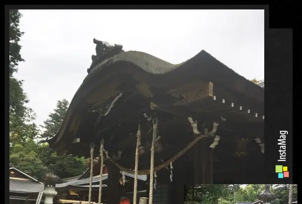 武田神社の写真・動画_image_100174