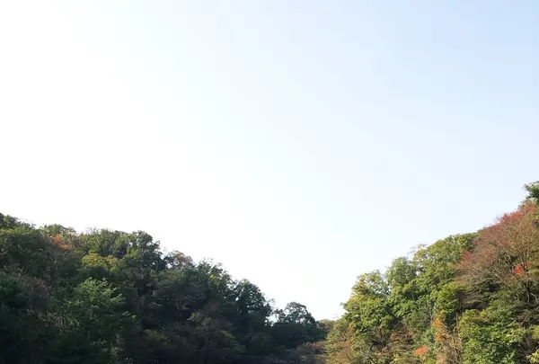 篠田砂防池の写真・動画_image_100602