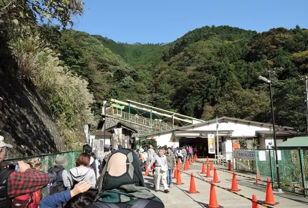 大山ケーブルカーの写真・動画_image_100642