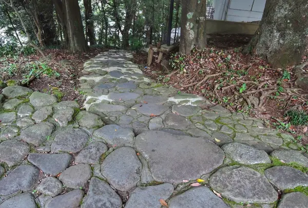箱根関所資料館の写真・動画_image_101194