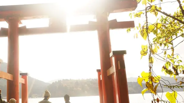 箱根神社の写真・動画_image_102255
