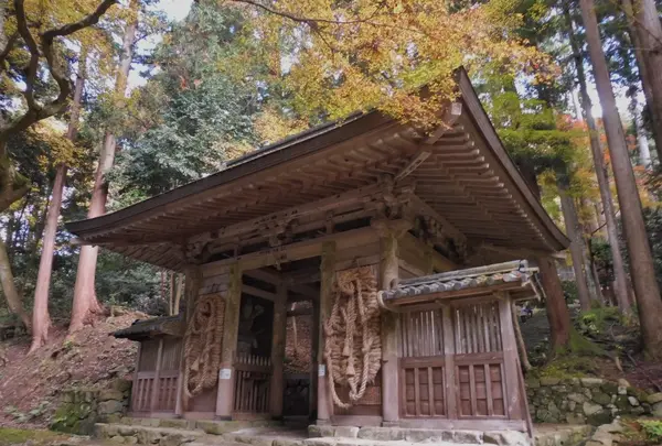 百済寺の写真・動画_image_102863