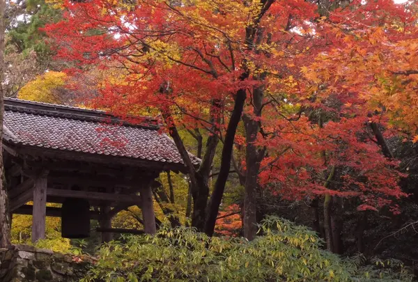 百済寺の写真・動画_image_103130