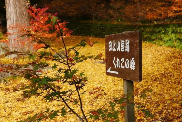 意富布良神社の写真・動画_image_104644