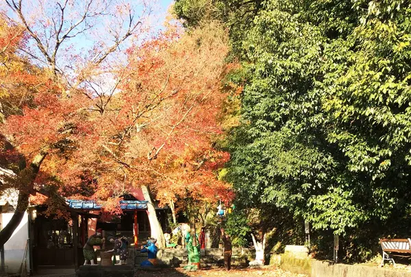 桃太郎神社の写真・動画_image_105050