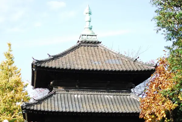 吉祥寺の写真・動画_image_105088