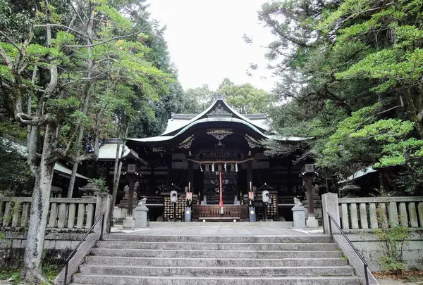 岡崎神社の写真・動画_image_105189