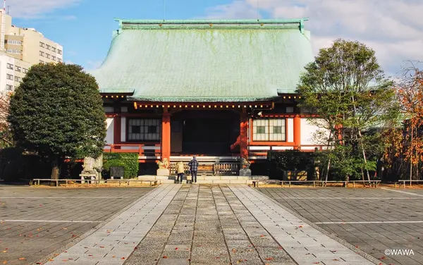 吉祥寺の写真・動画_image_105347