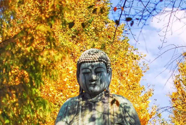 吉祥寺の写真・動画_image_105348