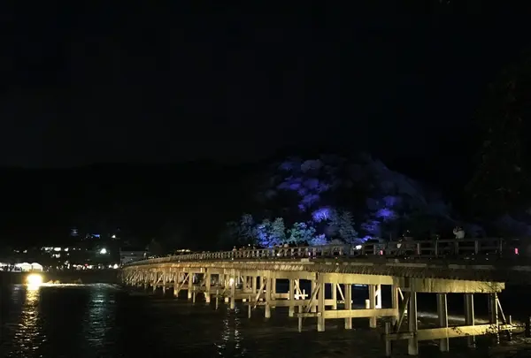 嵐山の写真・動画_image_107300