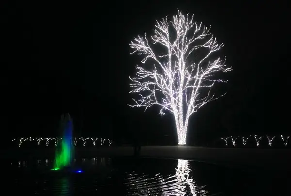 京都府立植物園の写真・動画_image_108928