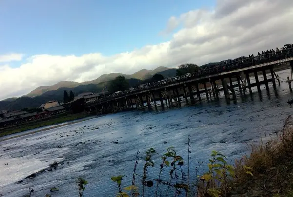渡月橋の写真・動画_image_108962