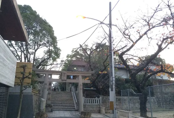 三光神社の写真・動画_image_109570