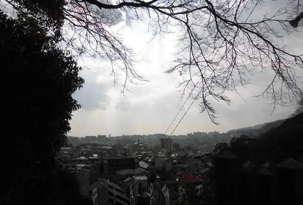 祇園神社の写真・動画_image_110166