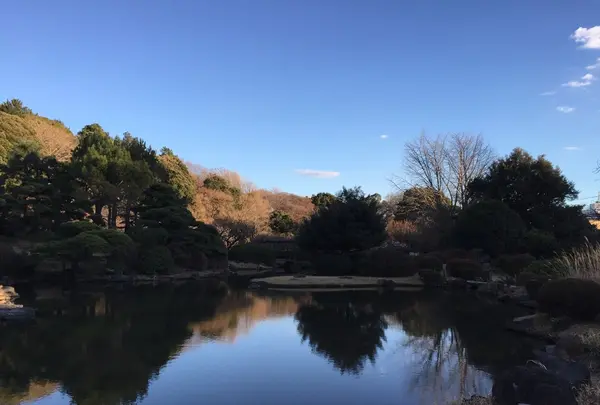 小石川植物園の写真・動画_image_113663