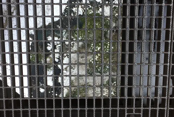 九重“夢”大吊橋の写真・動画_image_116812